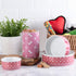 Bone Dry Ceramic Pet Bowls, Microwave & Dishwasher Safe, Non-Slip Bottom for Secure Feeding, Medium Bowl Set, Rose