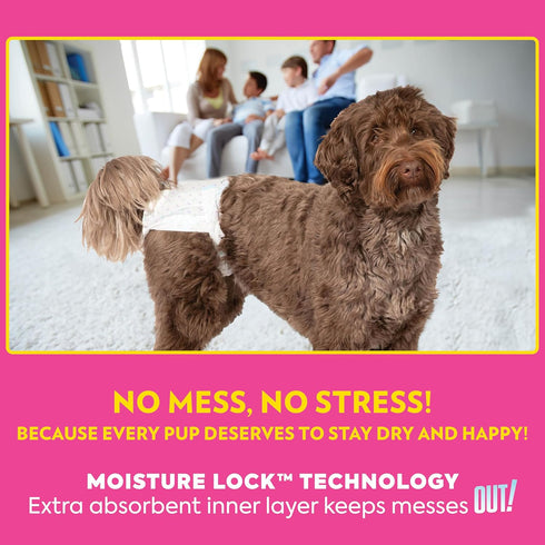 18- 25 96ct) Out! PetCare Disposable Dog Diapers Female, Potty Training, Dog Diapers, Female Doggie in Heat, Puppy