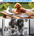 S7 Trimming High-Suction Dog Grooming Vacuum for Small & Medium Dogs, Compact Hair Collection System for Regular