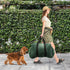 30 lbs, Dog Car Booster Seat, for Small Dogs Under Detachable Washable Travel Bed with Storage Pockets and Safety Belt
