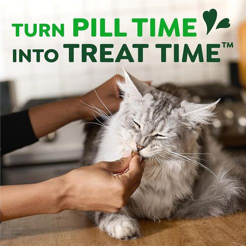 3 oz. (85 Greenies Feline Pill Pockets for Cats Natural Soft Cat Treats, Chicken Flavor, Pouch Treats)