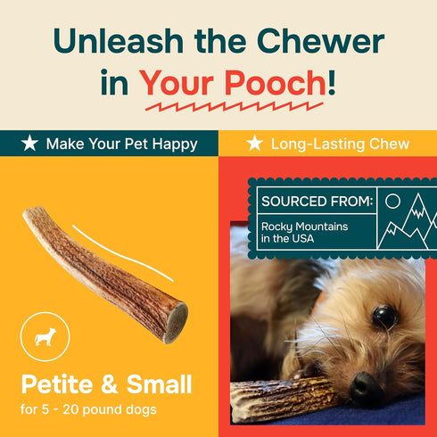 Elk Antler for Small Dogs - Grade A Long Lasting Chew for Aggressive Chewers, Real Organic Treats & Toys