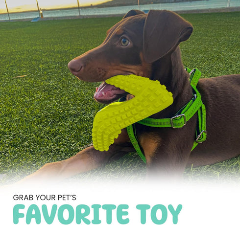 Super Shoe Dog Toy for Aggressive Chewers, Rubber Natural Teething Toys, Treat Dispenser and Toothbrush for Small