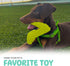 Super Shoe Dog Toy for Aggressive Chewers, Rubber Natural Teething Toys, Treat Dispenser and Toothbrush for Small