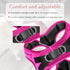 Comfort Fit Step-in Dog & Puppy Harness - Adjustable, Soft Padded, Easy to Put-on All Weather Vest for Small Dogs