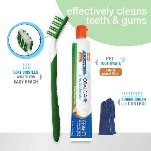Nylabone Advanced Oral Care Natural Dog Dental Kit, Peanut Flavor, 2.5 oz.