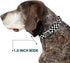 Buckle-Down Seatbelt Buckle Dog Collar, Checker Black/White, 1" Wide, Fits 15-26" Neck, Large
