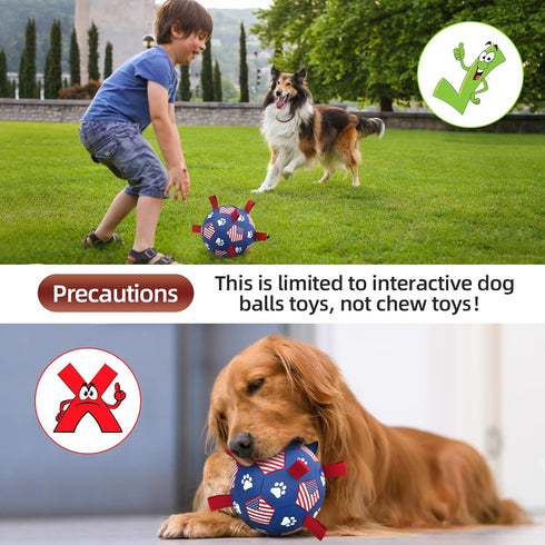 QDAN Purple Soccer Ball Dog Toy with Straps - Durable 6 Inch Beach Pool Water Toy for Small Medium Dogs