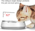 Small Glass Cat Food Bowls, Shallow Water Bowl for Cats, Kitties, and Small Dogs, Transparent Pet Feeding Bowl,