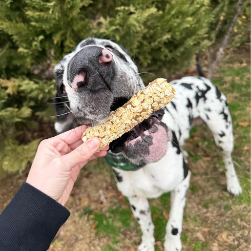 2 Pack Cadet Chewalicious Layered 'N Dipped with Oats, Rawhide-Free Dog Chews, Limited-Ingredient & Long-Lasting Chew