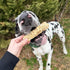 2 Pack Cadet Chewalicious Layered 'N Dipped with Oats, Rawhide-Free Dog Chews, Limited-Ingredient & Long-Lasting Chew