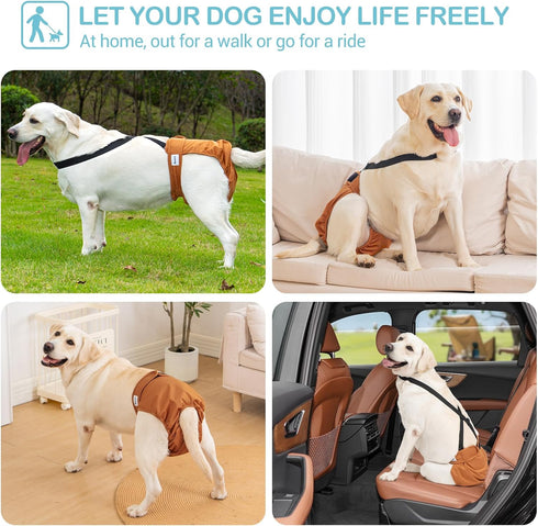 3 Pack 1 Avont Washable Female Dog Diaper with Suspender, Reusable Girl Doggie Underwear Pants for Heat Cycle Period