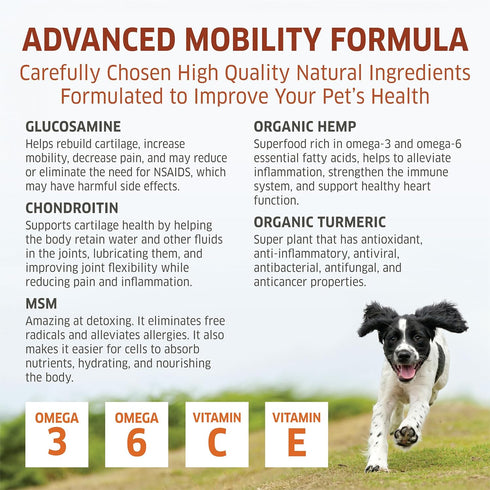 3 120 Hemp Hip and Joint Supplement for Dogs - Glucosamine for Dogs - Glucosamine Chondroitin for Dogs with MSM, Hemp