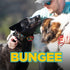Dogtra Tom Davis Bungee Collar - Comfortable Easy Fit for Tom Davis Edition 280C Dog Training E-Collar