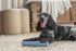 Harry Barker Rubber Balls and Rubber Chew Stick, Rubber Bone for Dogs