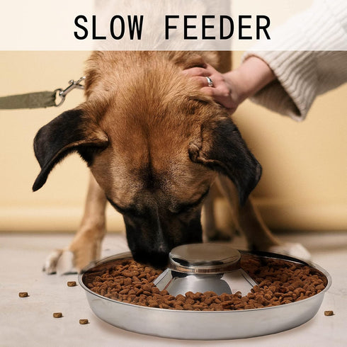 Set of 2 Stainless Steel Puppy Bowls, Dog Food and Water Feeder for Small Medium Large Dogs