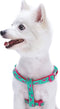Blueberry Pet Essentials Step-in Dog Harness, Pink Flamingo on Light Emerald, Chest Girth 26" - 39", Large