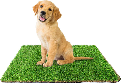 Downtown Pet Supply Replacement Dog Potty Grass, 16 x 20 - Washable