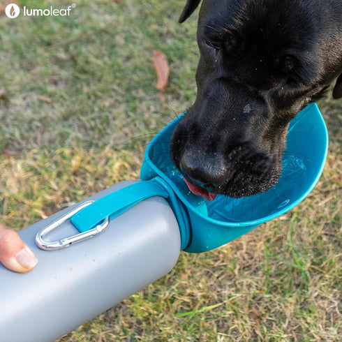 27 oz LumoLeaf Insulated Dog Water Bottle Stainless Steel - Keep Water Cool or Warm, Portable Pet Water Bowl