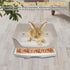 2PCS kathson Large Rabbit Litter Box Trainer, Potty Corner Toilet with Drawer Bigger Pet Pan for Adult Hamster, Guinea