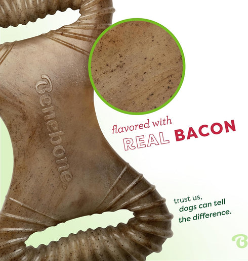 Benebone Medium Dental Durable Dog Chew Toy for Aggressive Chewers, Real Bacon, Made in USA