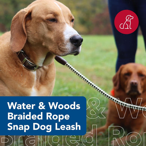 Water & Woods Braided Rope Snap Dog Leash - Green, Durable Comfortable Pet Leash with Classic Swivel Snap