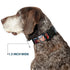Buckle-Down THOR Poses/Hammer Plastic Clip Collar - 1" Wide - Fits 15-26" Neck - Large