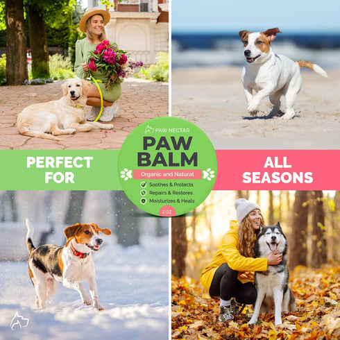 Natural Lick Safe Dog Paw Balm - 100% Organic Moisturizer & Soother for Dry Cracked Paws, 2oz