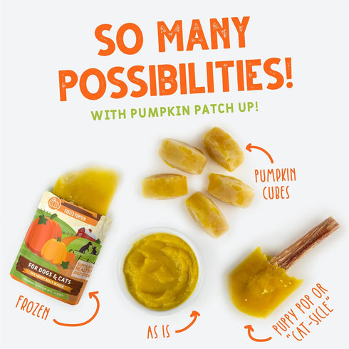 Weruva Pumpkin Patch Up! Pumpkin Puree Pet Food Supplement - 1.05oz Pouch, Pack of 12