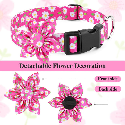 BiPawTi Soft Small Girl Dog Collar with Floral Patterns, Cute Daisy Collar for Summer Dogs (Pink, S)