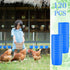 120 Pcs Cage Cups for Chicken Birds, Plastic Hanging Feeders and Waterers, 8 oz Feeding Bowl, Blue