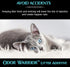 Odor Warrior Cat Litter Deodorizer with Ultra Absorbing Activated Charcoal | Fragrance Free Litter Solution