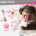 26 FLYSTAR Puppy Starter Kit for Small Dogs, pcs Dog Supplies, Dog Toys, Collar & Leash, Training Clicker, Treat Bag