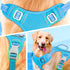 BARKBAY No Pull Dog Harness Large, Reflective with Front Clip and Easy Control Handle (Blue, S)