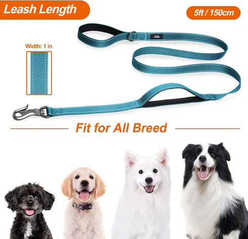 TwoEar 5FT 1IN Strong Blue Dog Leash with 2 Padded Handles for Extra Control, Reflective Lead for Small Medium Large