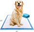 Four Paws Wee-Wee Superior Performance Unscented Pee Pads for Dogs, 22" x 23", 7 Count