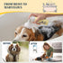 6.75 oz Clean and Floofy Waterless Dry Dog Shampoo No Rinse Spray Foam, Anti-Itch, Odor Control, Moisturizing