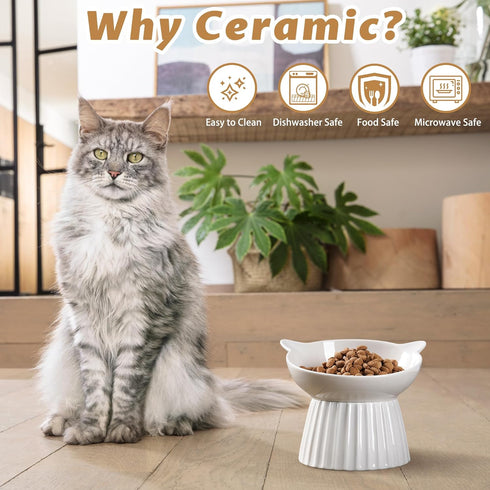 Ceramic Raised Cat Bowl, Tilted Anti Vomit Feeder for Indoor Cats, Whisker Friendly, Microwave and Dishwasher Safe