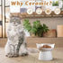 Ceramic Raised Cat Bowl, Tilted Anti Vomit Feeder for Indoor Cats, Whisker Friendly, Microwave and Dishwasher Safe