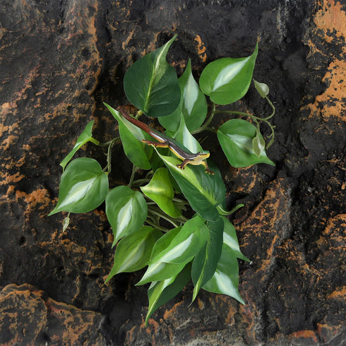 Realistic Fake Reptile Plants for Terrariums - Vibrant Decoration