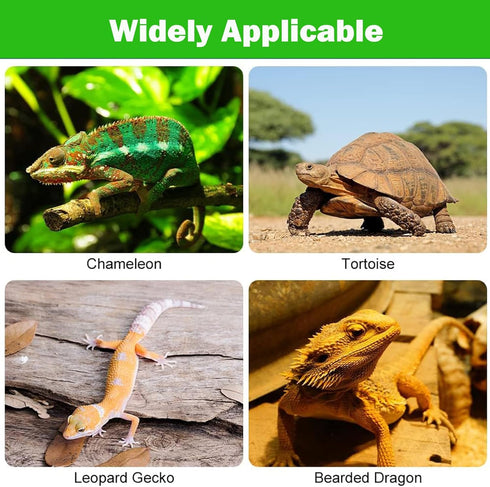 Bearded Dragon Tank Accessories, Non-Adhesive Reptile Carpet Bedding, 18x40 in for Leopard Gecko, Snake, Lizard,