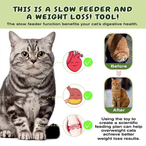 2 KADTC Cat Puzzle Toy, Large Size, Ways to Play, Treat Puzzle & Foraging Balls for Indoor Cats, Kitten Enrichment Toy