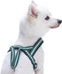 Blueberry Pet 6 Colors Soft & Comfy Jacquard Padded Dog Harness, Teal Blue, S/M, Chest Girth 21.5" - 27.5"