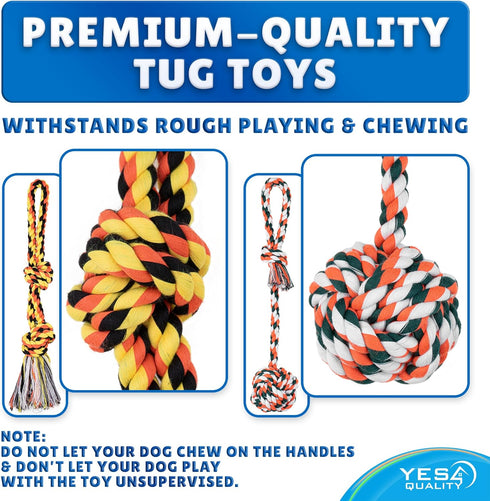 Dog Outdoor Bungee Hanging Toy - Blue Interactive Tree Tug Toy with Metal Spring Kit & 2 Rope Toys
