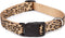 Cheetah-Print Nylon Dog Collar, 10–16 Inch
