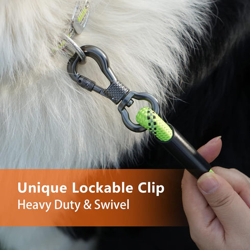 NTR 100FT Leashes for Large Breed Dogs, Long Leash with Swivel Lockable Hook, Comfortable Padded Handle, Puppy Leash