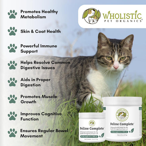 Wholistic Pet Organics Feline Complete - 4 Oz - Multivitamin & Probiotic Powder for Cats
