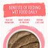 Weruva Wet Cat Food, Jolly Good Fares, Chicken and Salmon Pate, 3oz Can, Pack of 12