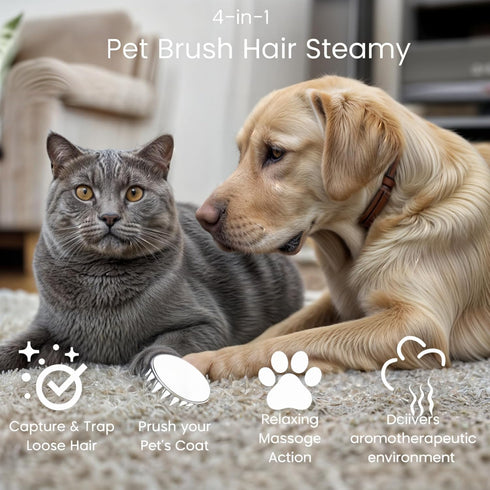 FEGAOSTORE 4-1 Cat Brush with Steam, Misting Cat Brush, Pet Massage Comb for Dogs & Cats