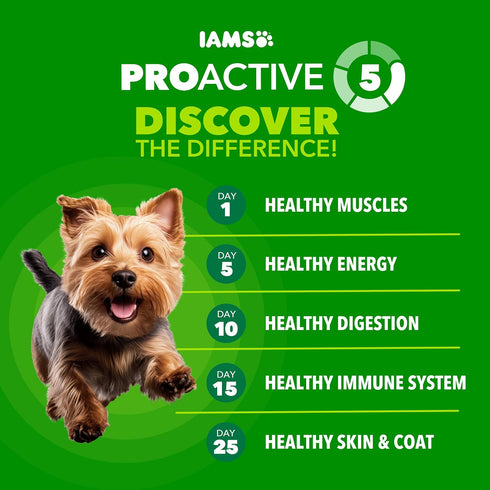 15 lb. IAMS Proactive Health Dry Dog Food for Small Breeds, Adult Dog Food Dry Recipe, Bag